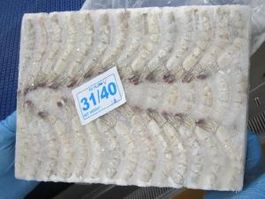 Frozen HLSO Shrimps