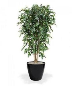 Artificial Indoor Plant