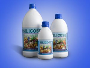 silicose fungicide