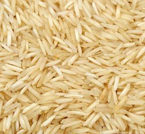 Basmati rice