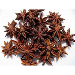 Star Anise Seed