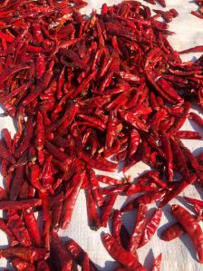 Teja Red Chilli