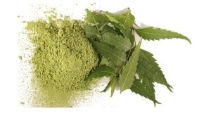 Herbal Neem Leaf Powder