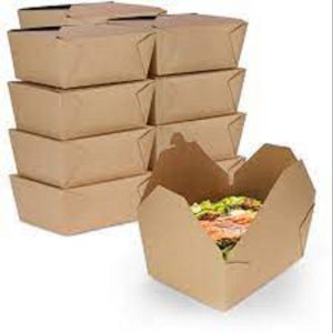 Disposable Paper Fast Food Box