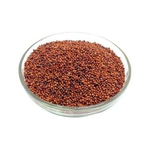 Finger Millet Seeds