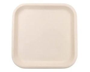 Natural Sugarcane Bagasse Disposable Plates