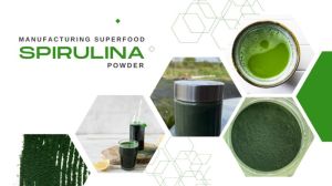 100 Gm Spirulina Powder