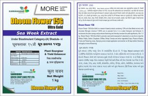 Dhoom Flower 15G Ultra Gold Plant Energizer