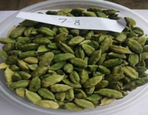 Green Cardamom