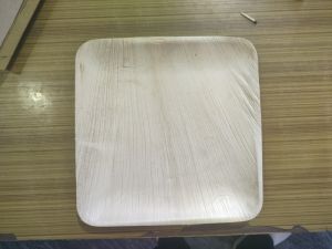 Eco Friendly Disposable Plates