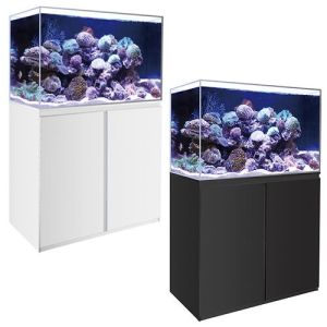Decorative Aquarium Tank