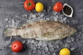 Frozen Hamour Fish