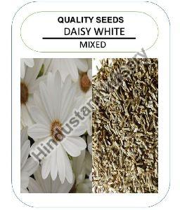 Daisy Flower Seeds