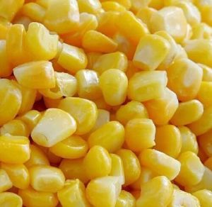 Frozen Sweet Corn