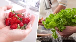 Freshezu Vegetables and Fruits Wash