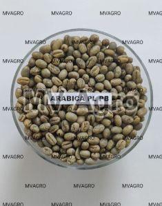 Arabica Plantation PB Peaberry Washed Green Coffee Beans