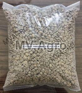 Mysore Nuggets MNEB Green Coffee Beans Bold Size India