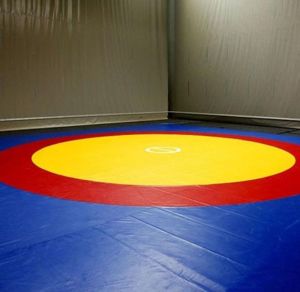 Wrestling Mat