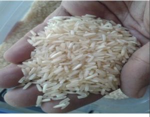 Dubar Basmati Rice