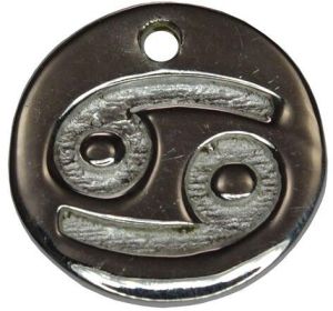 Sterling Silver GEMINI Charm