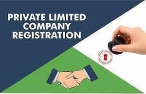 private limited company registration service