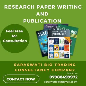 Research Paper Writing Service