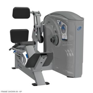 low back exercise machine