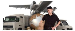 Cargo Airport To Airport Delivery Services