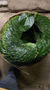 Kolkata Sweet Betel leaves