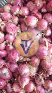 tamilnadu small onion