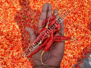 Kolhapuri Red Chilli