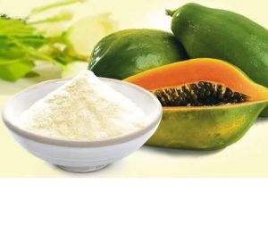 Papaya Juice Powder