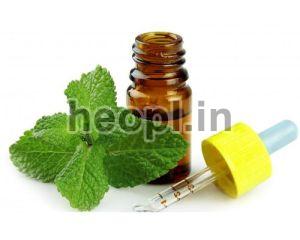 Peppermint Liquid Extract