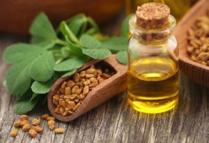 Fenugreek Oil