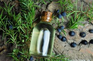 Juniper Essential Oil