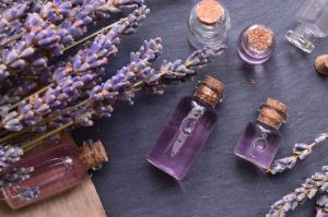 Lavender Essential Oil