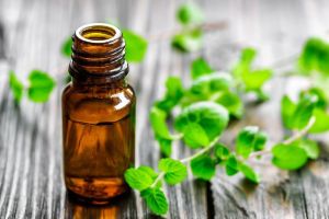 Mentha Essential Oil