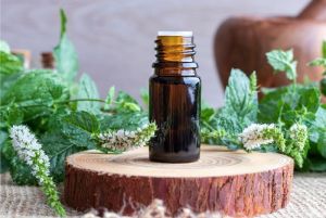 Peppermint Essential Oil