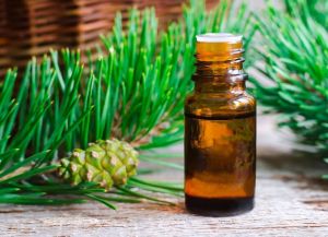 Pine Essential Oil