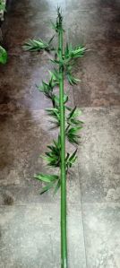 Artificial Bamboo Shoots