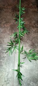 Artificial Bamboo Shoots