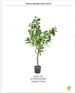 Small Green Artificial Tree