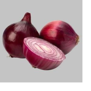 organic red onion