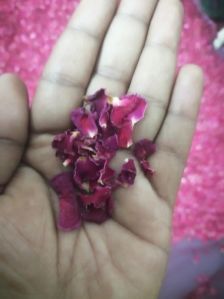 Dried Red Rose Petal