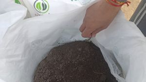 Organic Manure