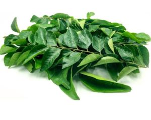 Curry Leaves