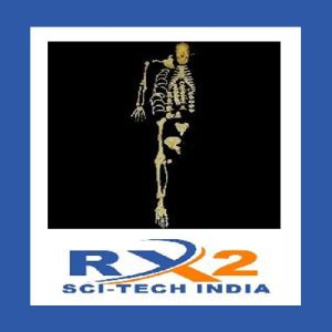 Human Skeleton One Side Unilateral