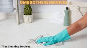 Tile Cleaner