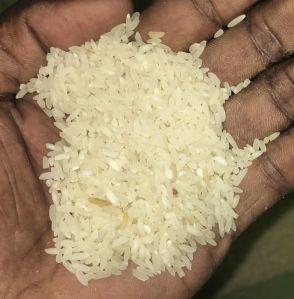 white rice