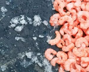 Frozen Prawns